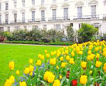 Warwick Rooms London