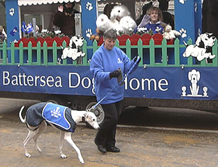 Reservar un hotel cerca de Battersea Dogs Home