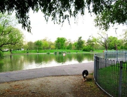 Eagle Pond and Mount Pond, London