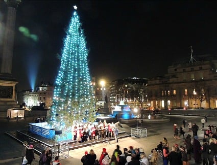 Trafalgar Square Christmas Tree and Carols at Trafalgar Square, London