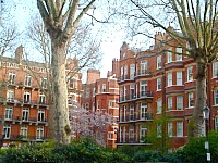 Barkston Gardens London