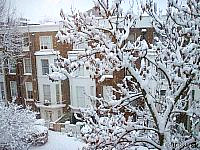 Holland Inn Hotel in winter