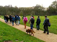 Ponds of the Heath – Heath and Hampstead Society walk
