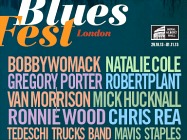 BluesFest 2013