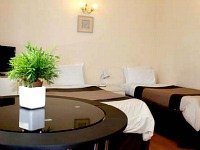 A stylishly decorated twin studio