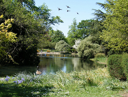 Buchen Sie ein Hotel in der Nähe von Ravenscourt Park