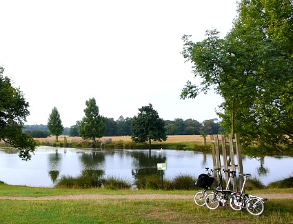 Reservar un hotel cerca de Richmond Park