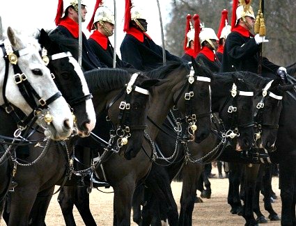 Reservar un hotel cerca de Horse Guards