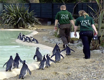 Reservar un hotel cerca de London Zoo