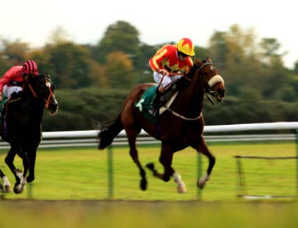 Reservar un hotel cerca de Lingfield Park Racecourse
