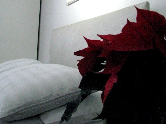 Surf the internet for free thanks to the WiFi at Park House Serviced Apartments