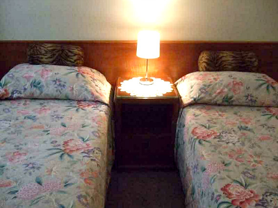 A twin room at Hotel Sergul is perfect for two guests