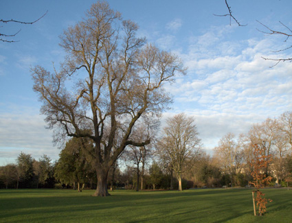 Réserver un hôtel à proximité de Victoria Park