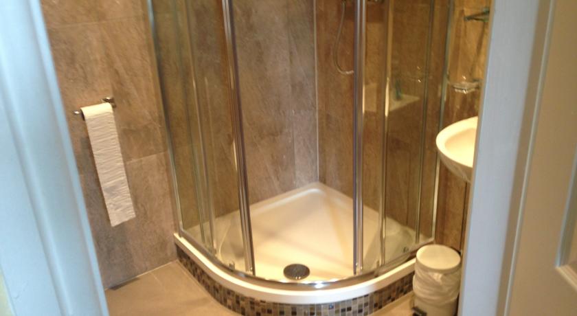A typical shower system