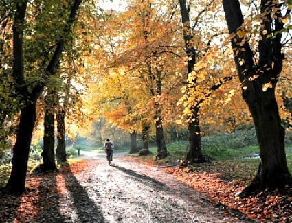 Book a hotel near Hampstead Heath