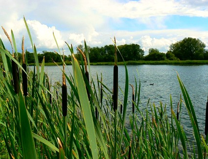 Book a hotel near Hampstead Heath