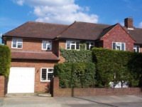 BlueBelle Mansion B&B