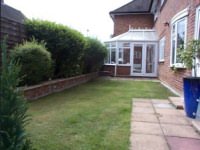 The garden - open to guests