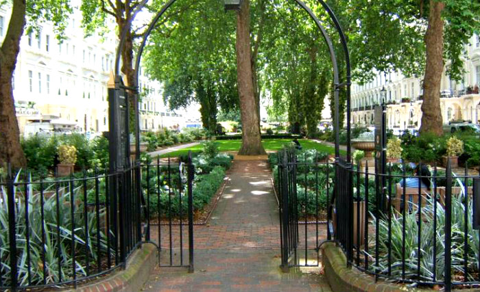 The attractive garden