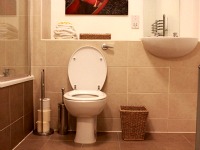 Unwind with a long shower at the end of the day