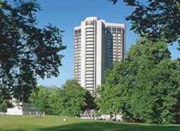 The stunning London Hilton