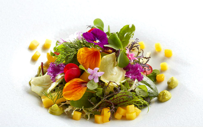 Enjoy a great breakfast at Rocco Forte Brown's Hotel