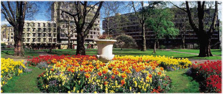 Prince's Gardens Budget Rooms