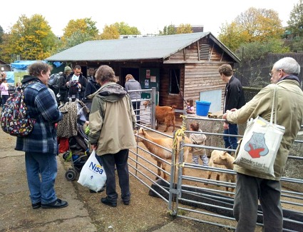 Kentish Town City Farm, London