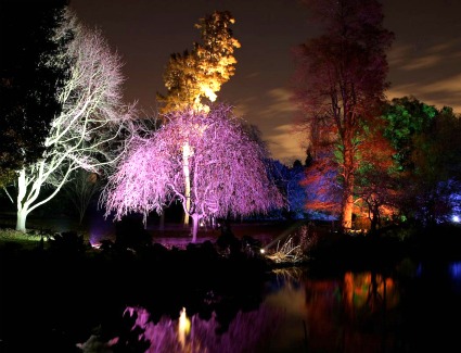 Enchanted Woodland at Syon Park, London