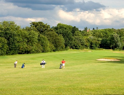 Croham Hurst, London