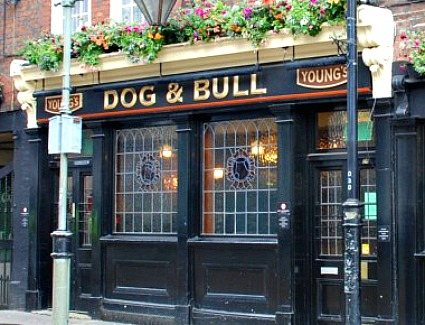 Dog & Bull, London