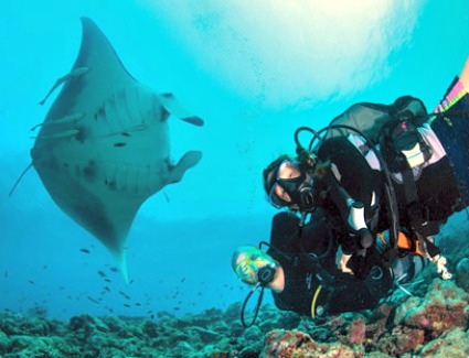 London International Dive Show