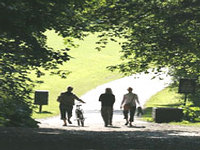 One of the pathways in Hampstead Heath