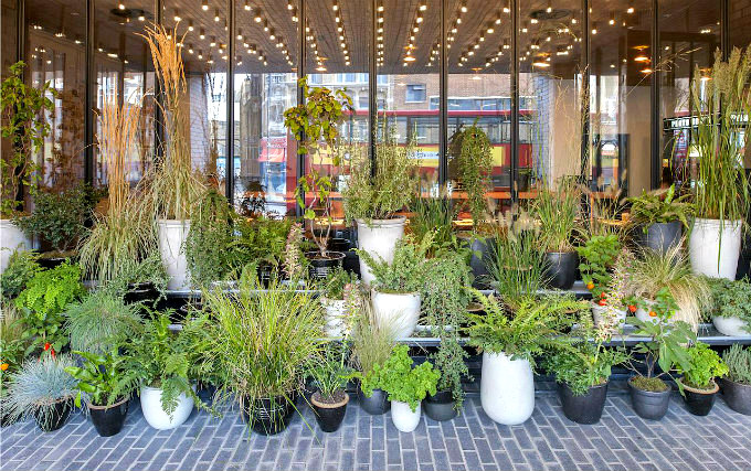 Attracting garden at Crowne Plaza London Shoreditch
