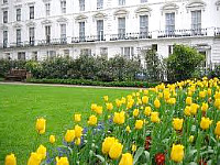 Warwick Rooms London