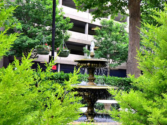 Relax in the garden at So London Luxury Apartments