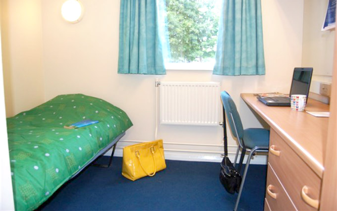 A comfortable single room at Plas Gwyn Halls