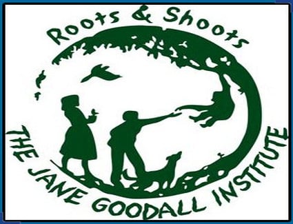 Book a hotel near Roots and Shoots