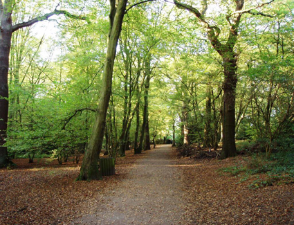 Book a hotel near Highgate Wood