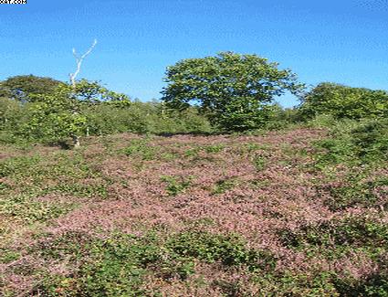 Book a hotel near Buchan Country Park