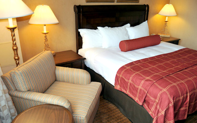 A comfortable double room at The Hollies