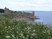 St Andrews Castle and Bay