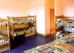 A typical dorm room at Jacobs Inn Dublin