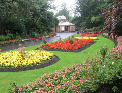 Book a hotel near Victoria Park and Fossil Grove