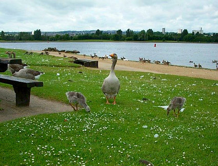 Book a hotel near Strathclyde Country Park
