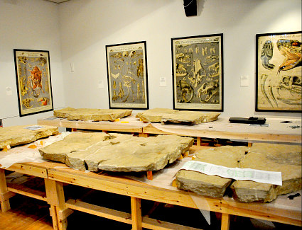 Book a hotel near The Mackintosh House