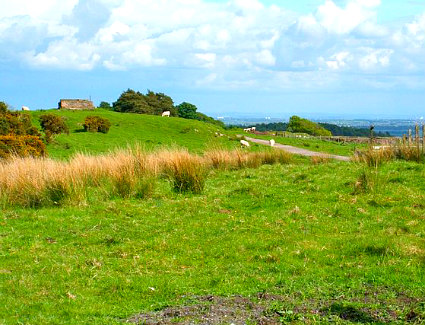 Book a hotel near Mugdock Country Park