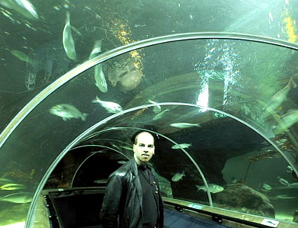 Book a hotel near Deep-Sea-World