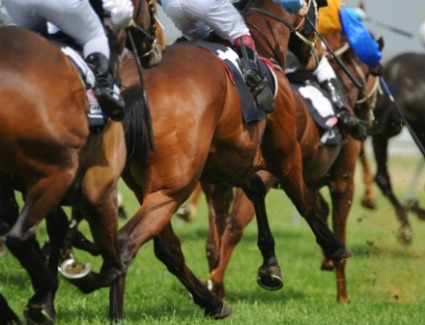 Prenotare un hotel in Royal Ascot