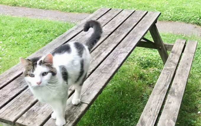 Relax with friends in the private gardens at Amhurst Hotel